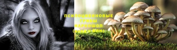 дмт Ельня
