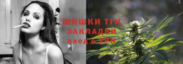 дмт Ельня