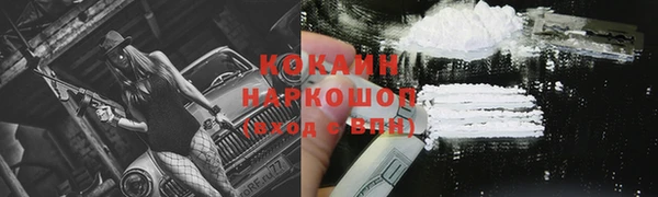 крисы Заводоуковск