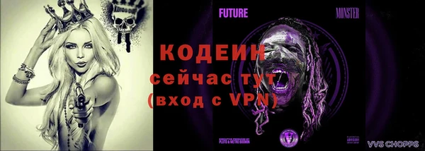 крисы Заводоуковск