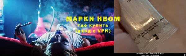 дмт Ельня