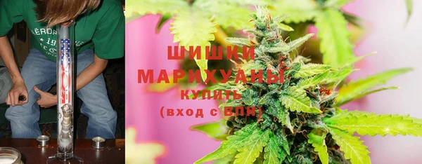 дмт Ельня