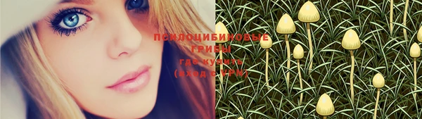 стафф Няндома