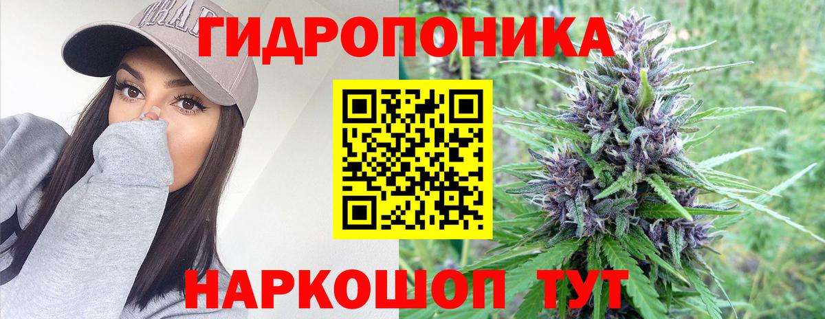 Шишки марихуана планчик  Бошки Шишки планчик  Пыть-Ях  МАРИХУАНА Bruce Banner 